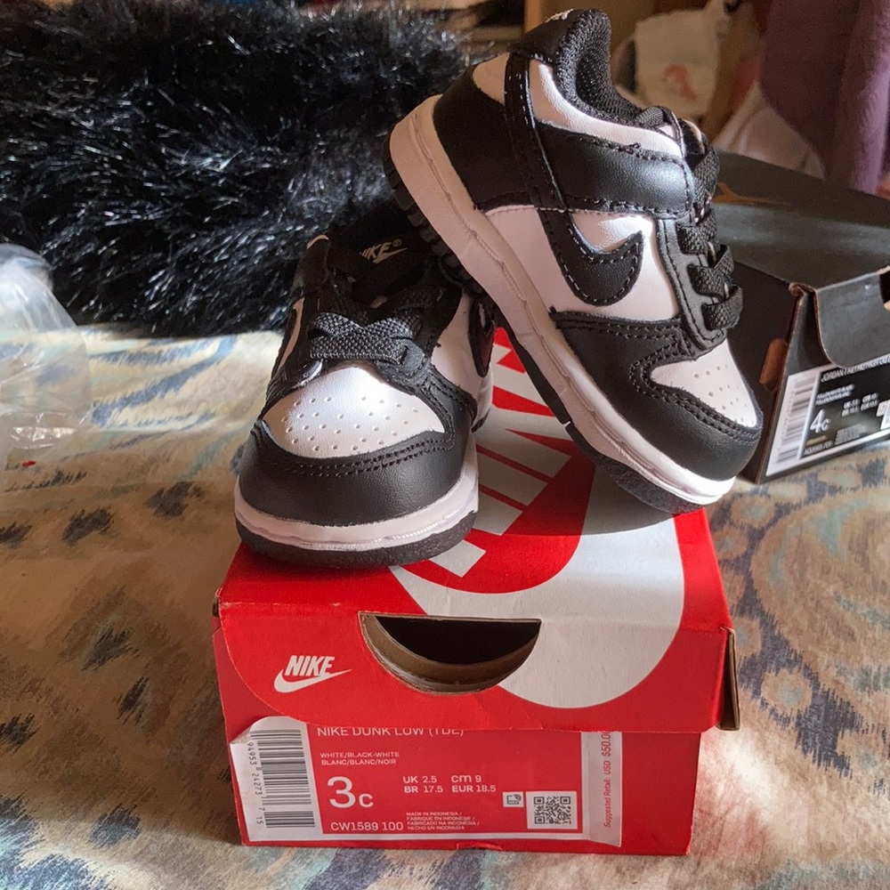 3c Nike dunk low